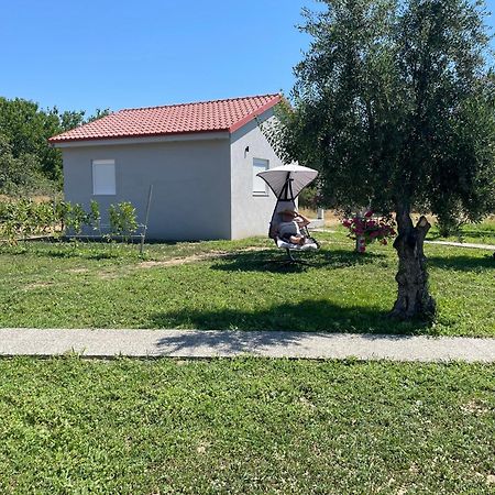 Ktima Mimoza Apartment Sykia Chalkidikis Bagian luar foto