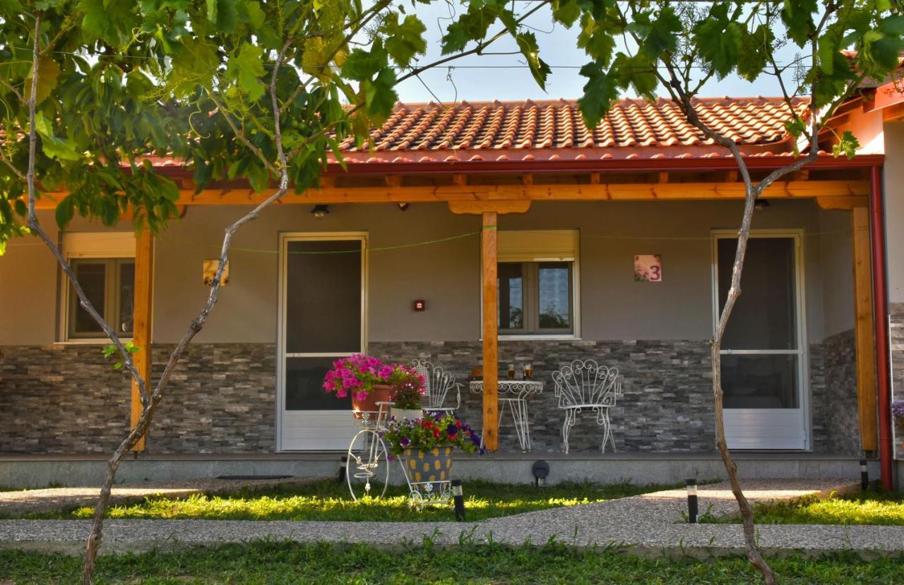 Ktima Mimoza Apartment Sykia Chalkidikis Bagian luar foto