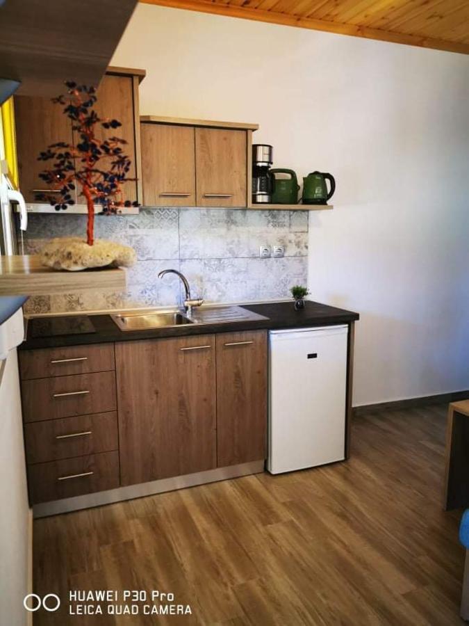 Ktima Mimoza Apartment Sykia Chalkidikis Bagian luar foto